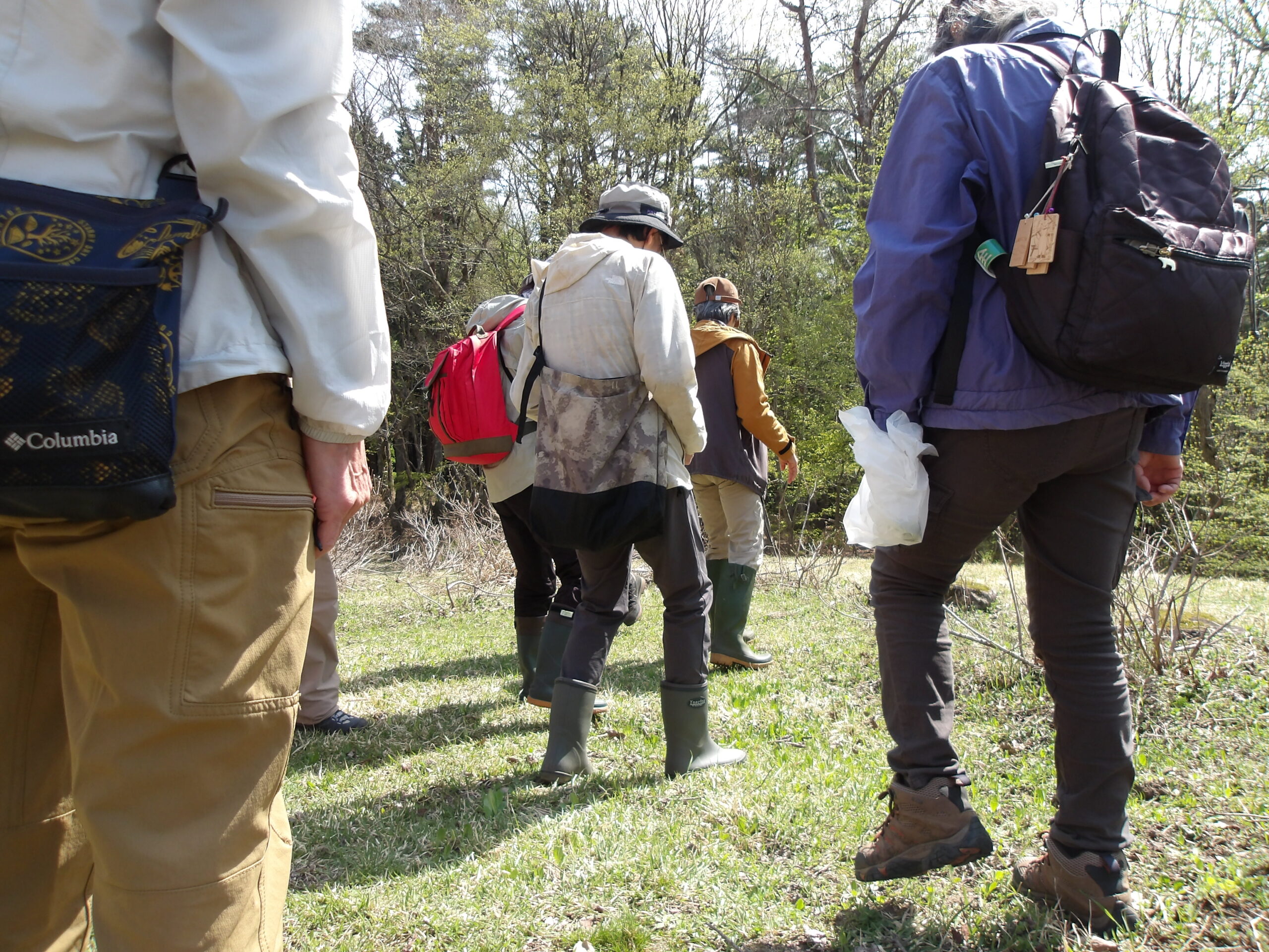 春の山野草観察会